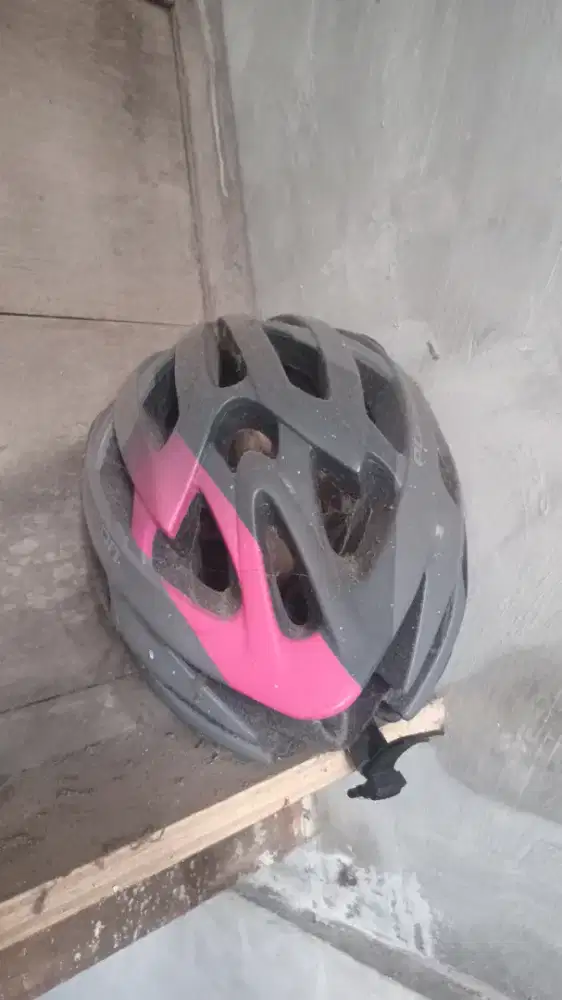 Helm sepeda pancal polygon ori