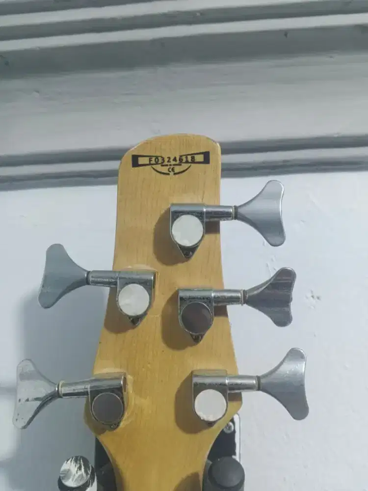 bass Ibanez SDGR 5 senar + amplinya