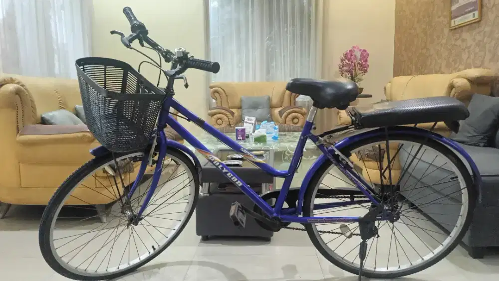 Sepeda Ladies Polygon Sierra uk 26 ORI + Keranjang + Boncengan + Lampu