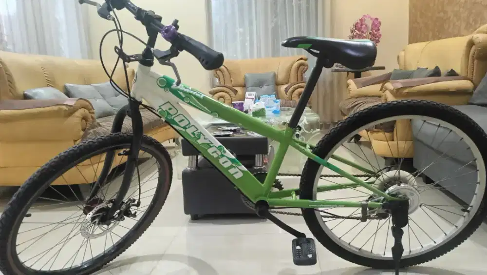 Sepeda Polygon Coastal uk 24 + Shifter + Rem Cakram