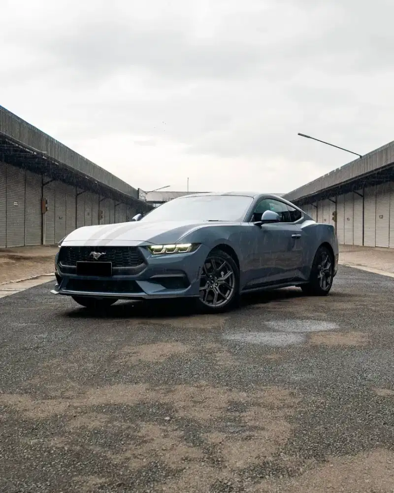 Ford Mustang Ecoboost Fastback  2025
