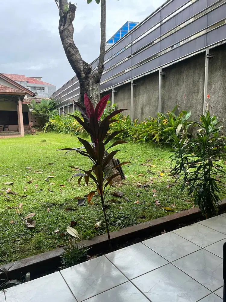 Iphone 12 basic 128 gb