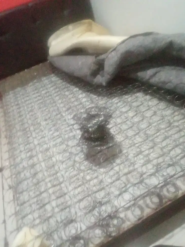 Service springbed panggilan