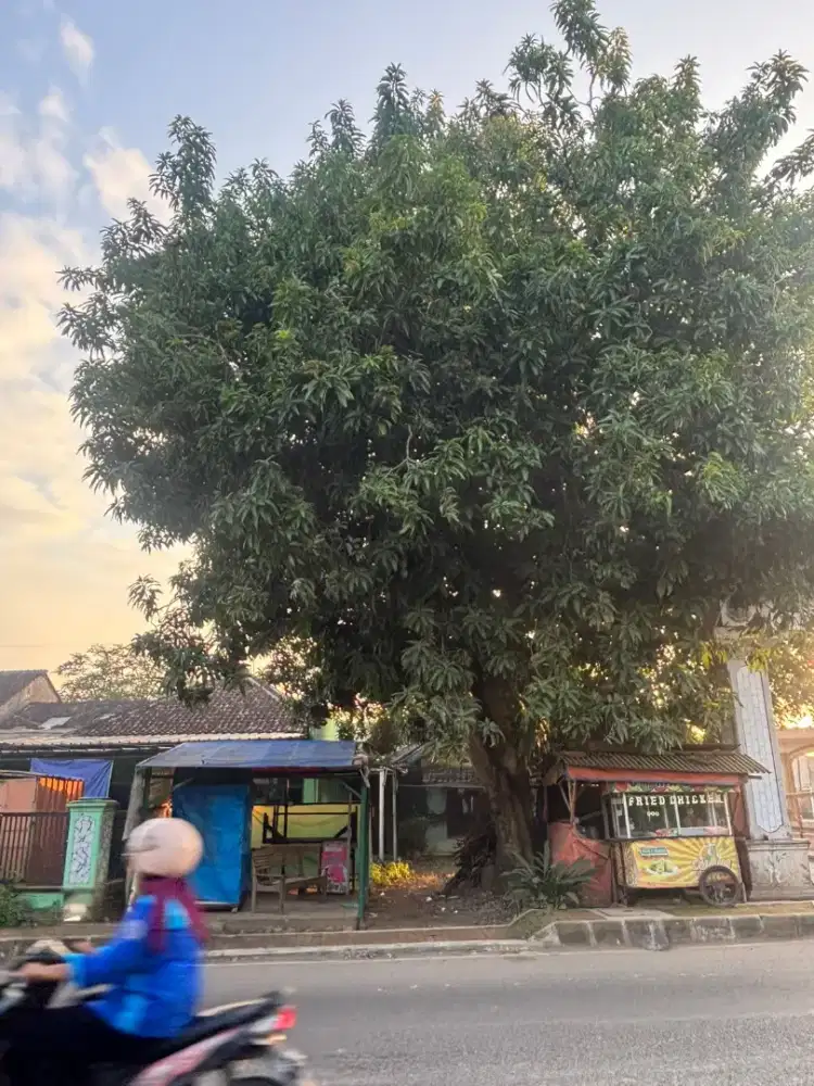 DI JUAL TANAH PINGGIR JALAN UTAMA