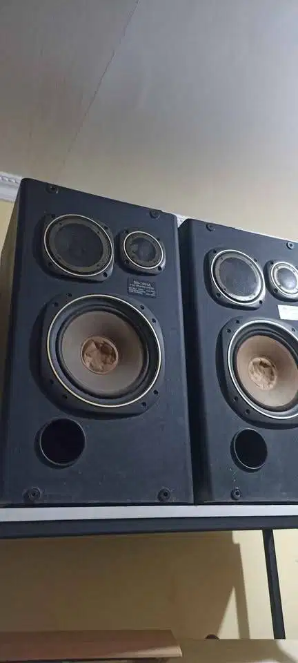 SEPASANG-SPEKER POLYTRON ( MINUS ) suara masihhh jozzzzzzzz