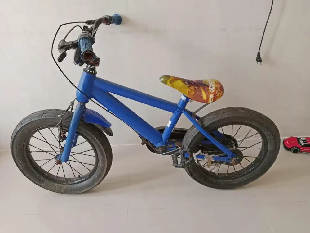 Sepeda anak laki laki