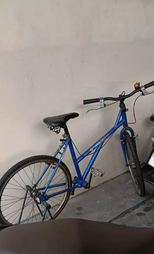 Sepeda jadul antik gardan