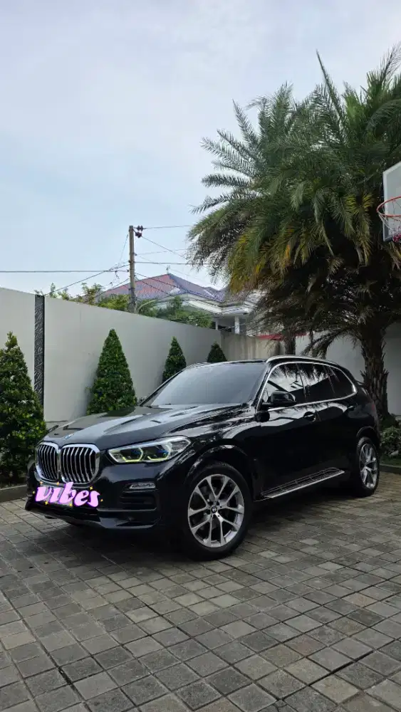 BMW X5 G05 2019