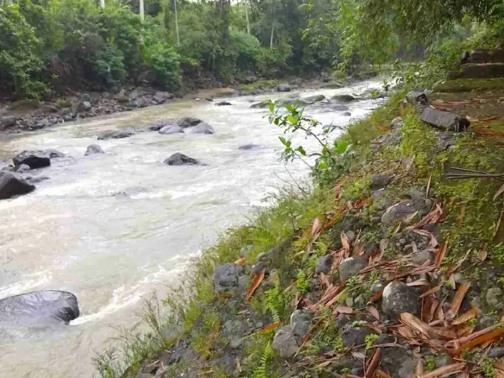 jual tanh los sungai.yeh ho 35 hrg,35 jt/ are