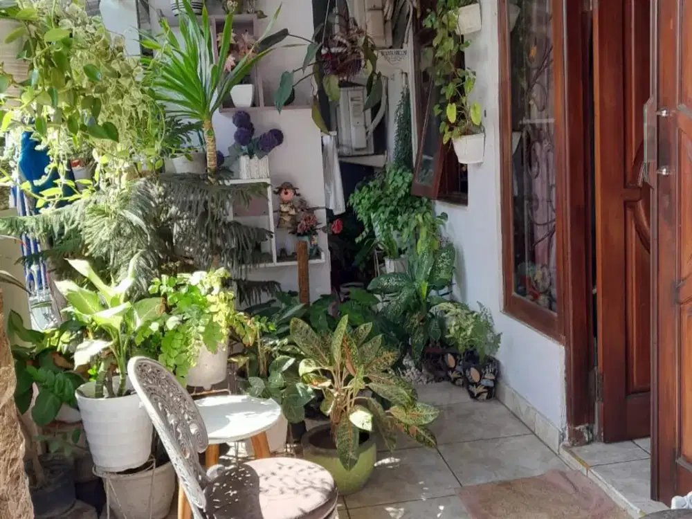 JUAL RUMAH NYAMAN DI PERUMAHAN