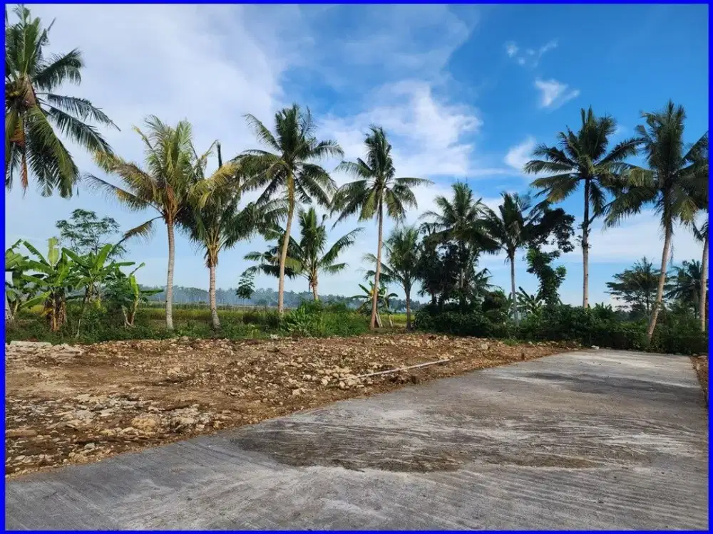 Tanah Dijual Jogja Pengasih Kulon Progo Dekat Bandara YIA Untuk Rumah