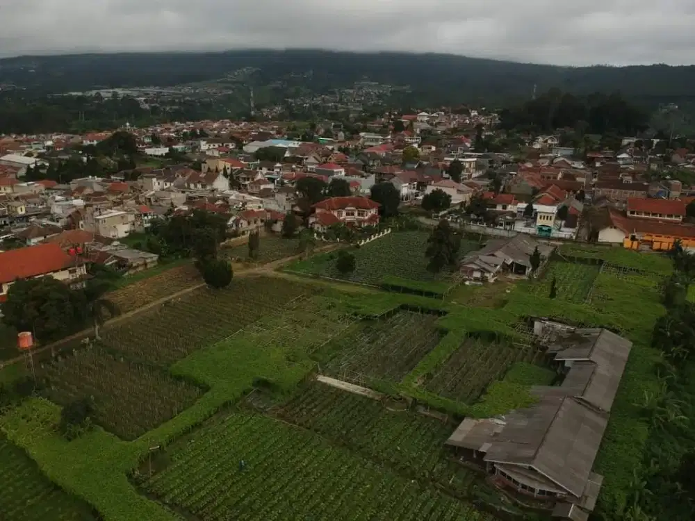Dijual Tanah Matang Siap Bangun di Mainroad  Lembang