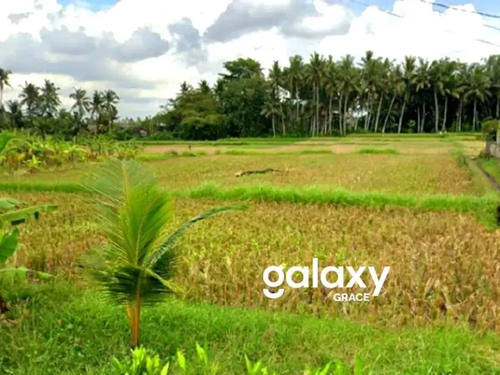 DIJUAL TANAH VIEW SAWAH DI SUBAK SARI KEMENUH SUKAWATI GIANYAR, BALI