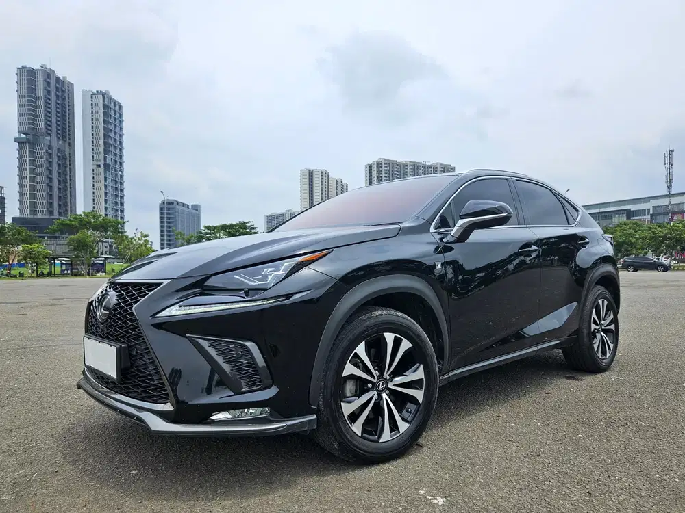 Lexus NX300
F-Sport 2.0 2017 / 2018