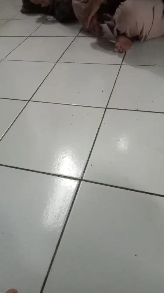 Mencari pekerjaan yang halal