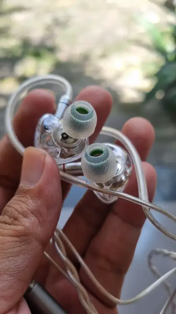 IEM TANGZU WAN'ER WAN ER WANER SG 2 Single Dynamic  + Moondrop Echo-A