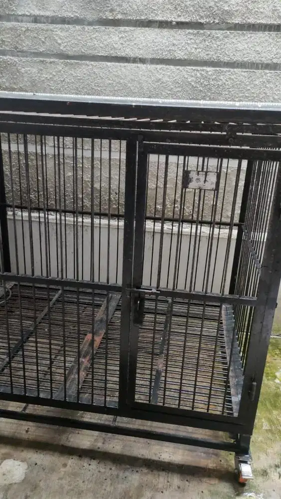 Kandang Hewan anjing/kucing/peliharaan