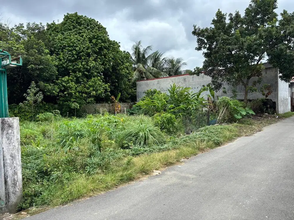 Dijual Tanah 20x16 Jl. Menteng VII