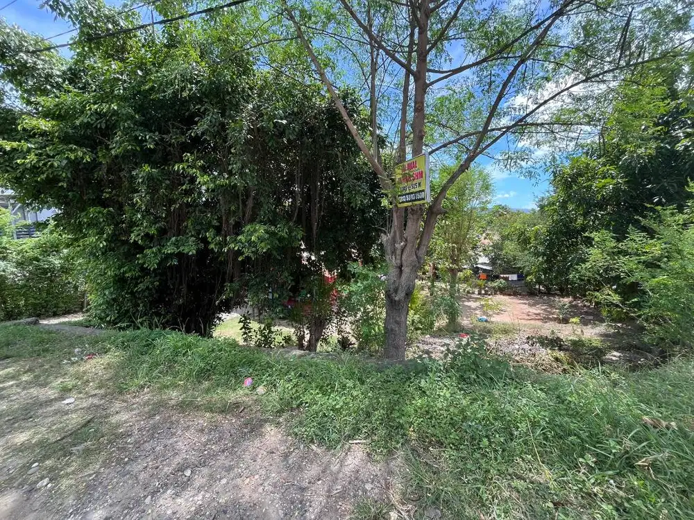 TANAH SHM TEPI JALAN RAYA PROVINSI – COCOK INVESTASI | WAINGAPU