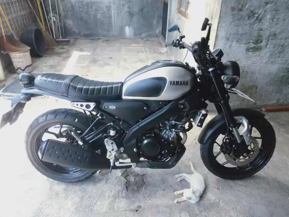 Yamaha xsr 155 tahun 20220