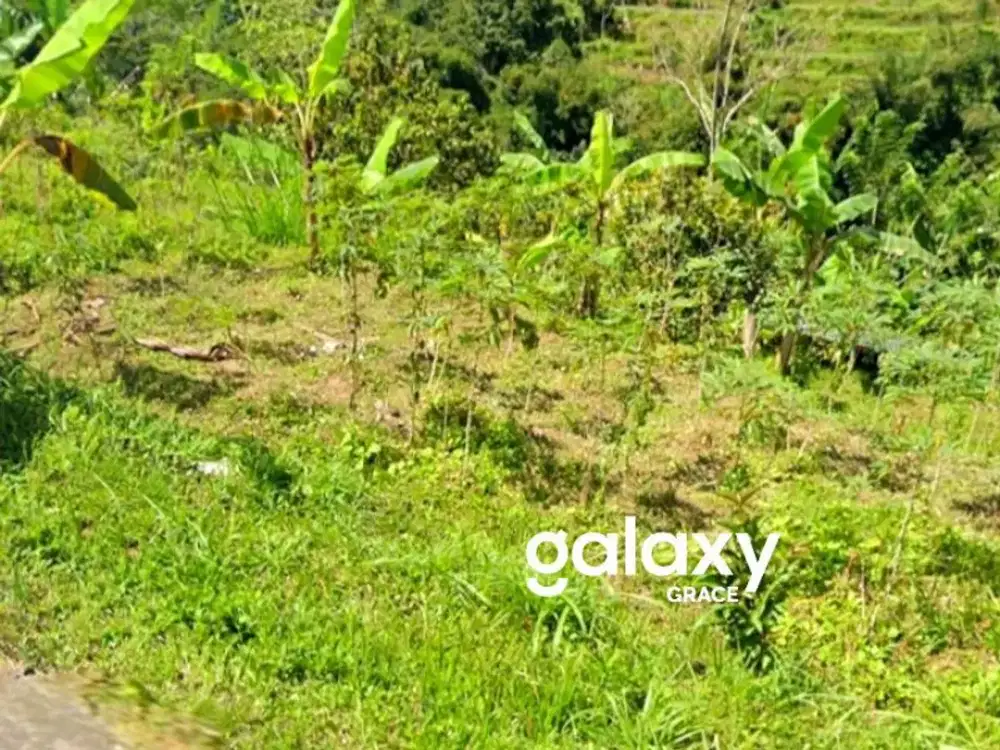DIJUAL TANAH ASRI DAN SEJUK DI JUWUK LEGI ANTAPAN BATURITI TABANAN, BALI