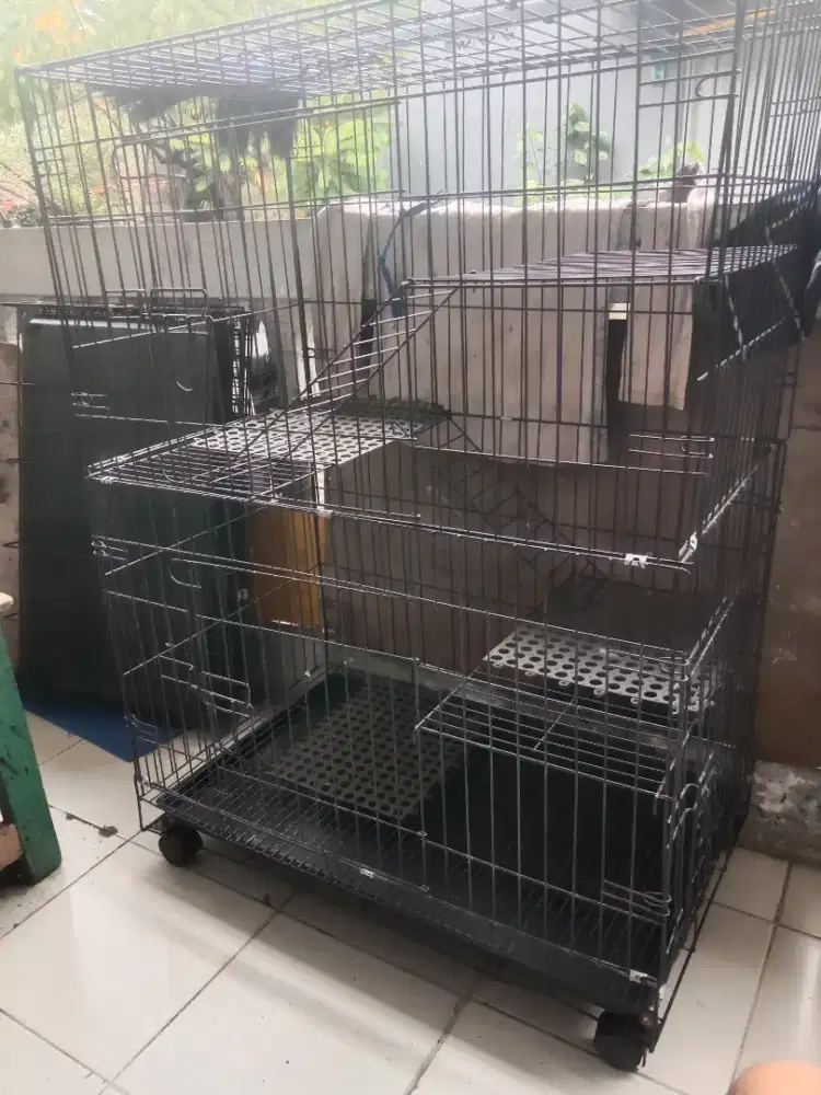 Kandang kucing tingkat besar