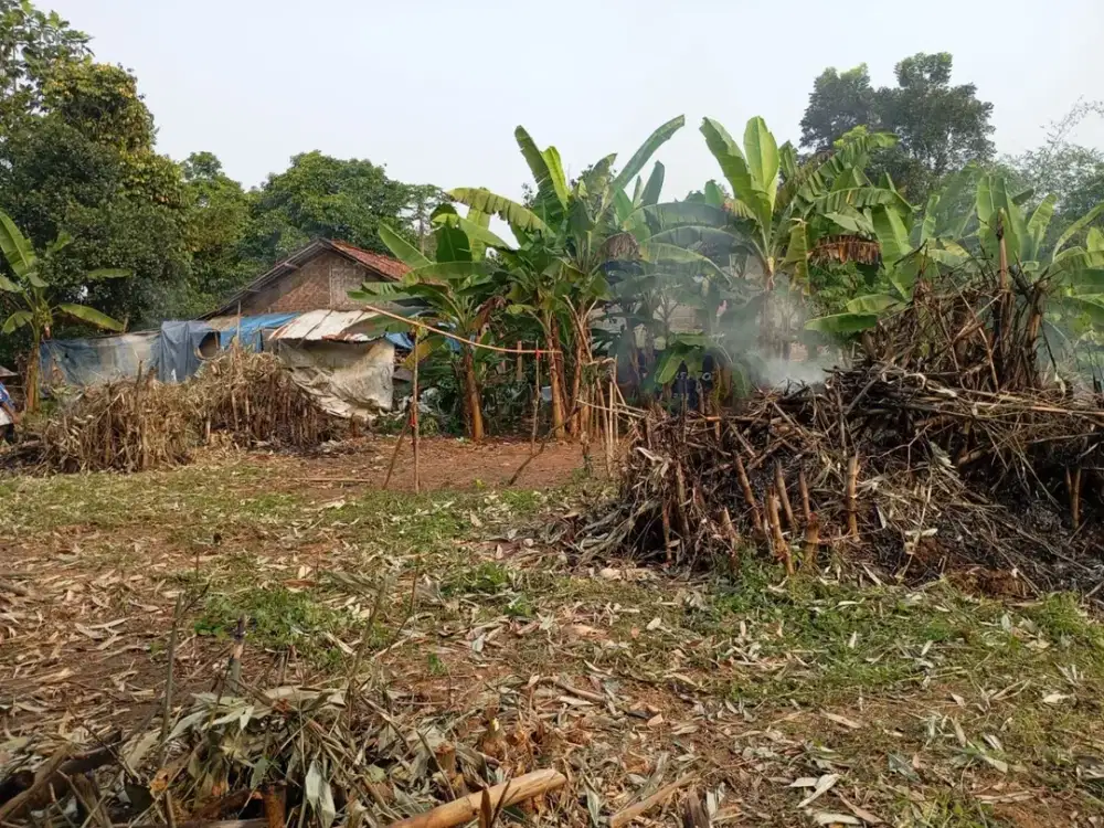 Kavling Cisauk Hanya 1JTan Langsung Tepi Jalan