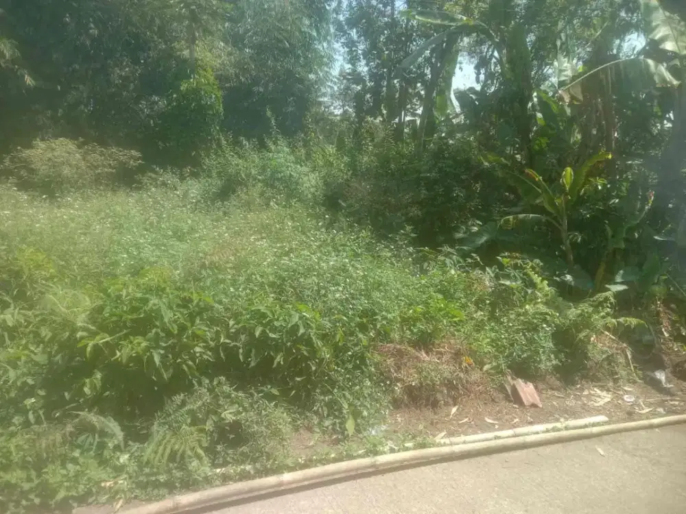 Dijual Tanah Murah Lokasi Noborejo Salatiga