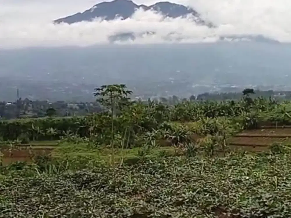 Dijual Tanah Murah View Gunung Salak Ciambar Sukabumi