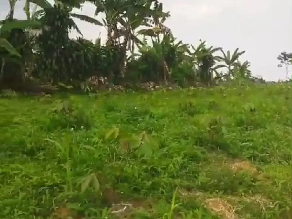 Dijual Tanah Murah dibawah 100Ribu Parakan Salak Sukabumi