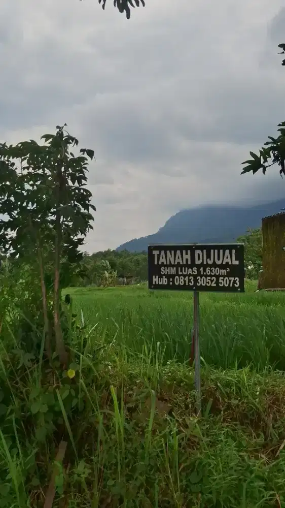 DIJUAL TANAH STRATEGIS PINGGIR JALAN UTAMA – SRIGADING, MOJOKERTO