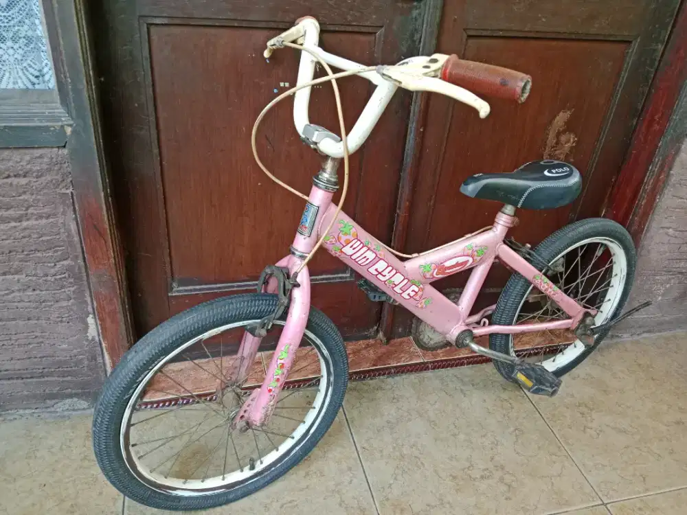 Sepeda wimcycle warna pink