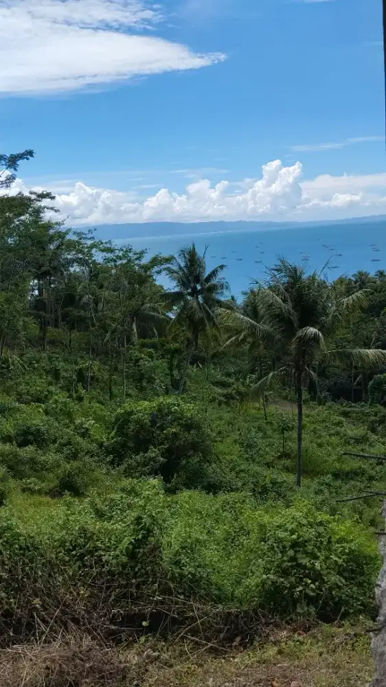 Peluang Emas: Lahan Resort Ocean View