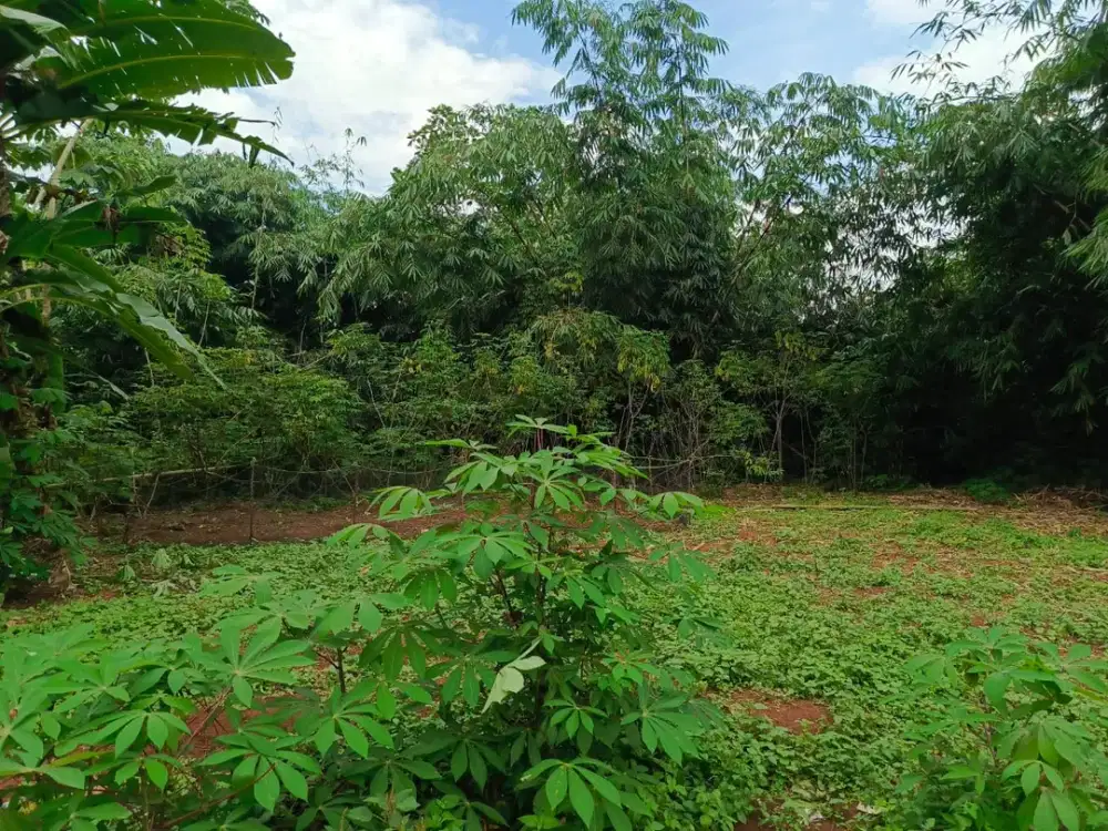 Tanah Strategis Cisauk Dekat HIERA BSD, Tepi Jalan Utama Mekarwangi