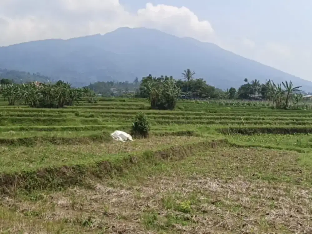 Dijual tanah cocok untuk agrowisata, view gunung salak cidahu sukabumi