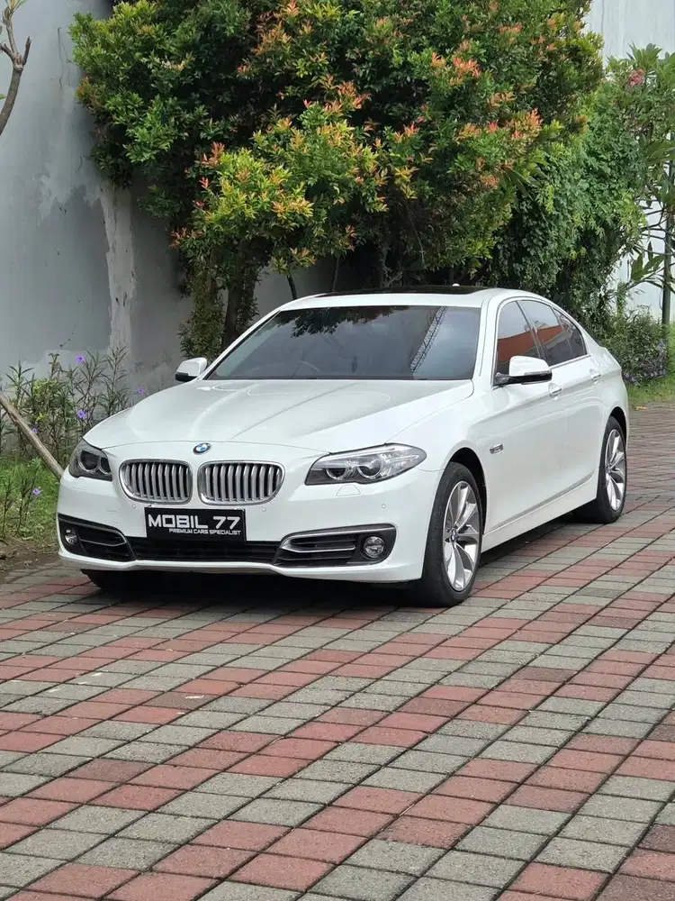 BMW 520i F10 2.0 2014 (ODO 20rb)