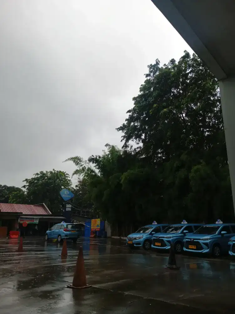 DRIVER ONLINE BLUEBIRD