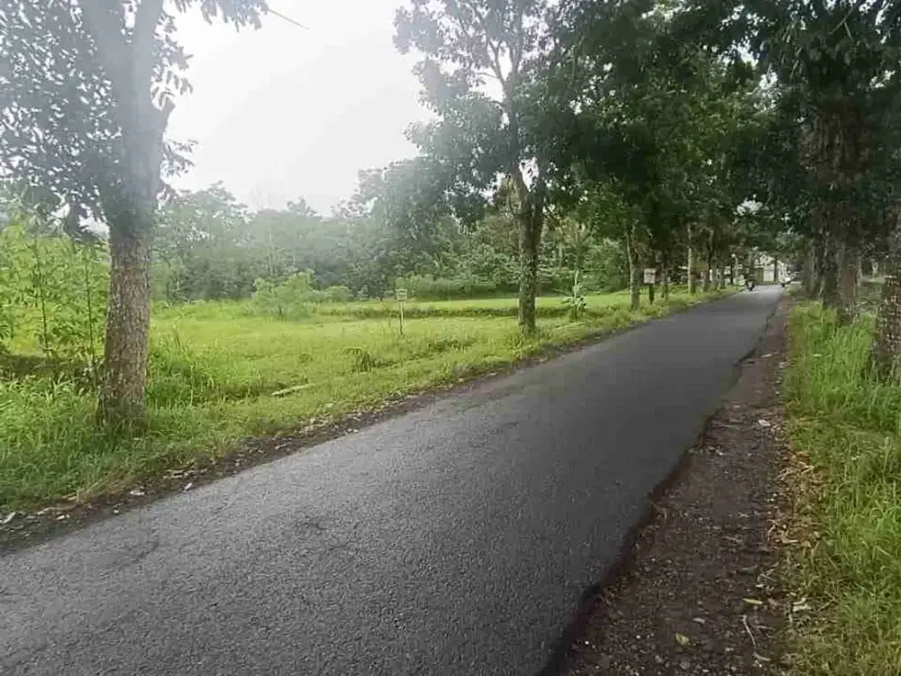 DIJUAL TANAH PEKARANGAN DEKAT SCH MASJID SUCIATI