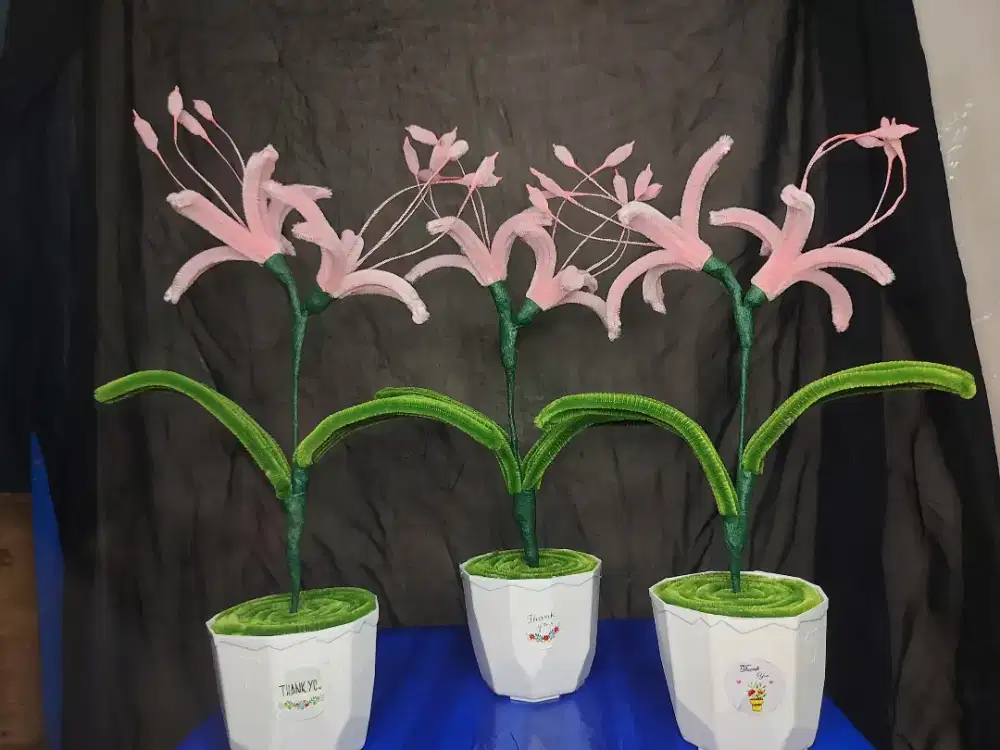 Bunga lily kawat bulu