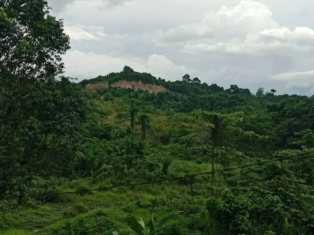 Jual tanah 9925m2 cocok untuk gudang atau kavling perumahan, Tepi jala