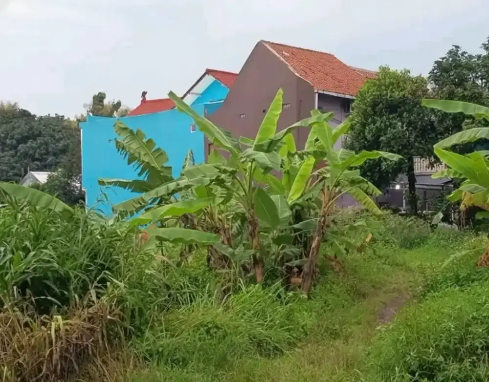 Murah dijual tanah siap bangun bulusan tembalang undip cocok untuk kos