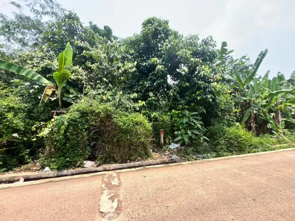 Kavling Cisauk Termurah ,Langsung Tepi Jalan Hanya 1Jtan/m