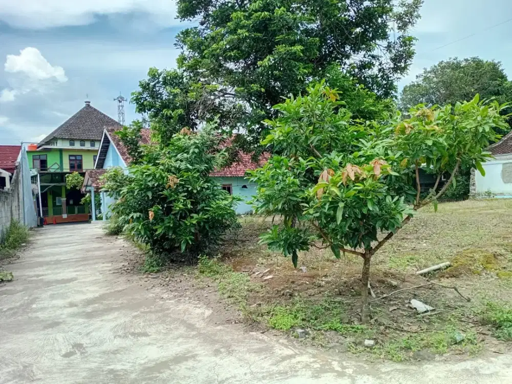 Golden Land! Tanah Murah bisa Dicicil Dekat Sate Ratu