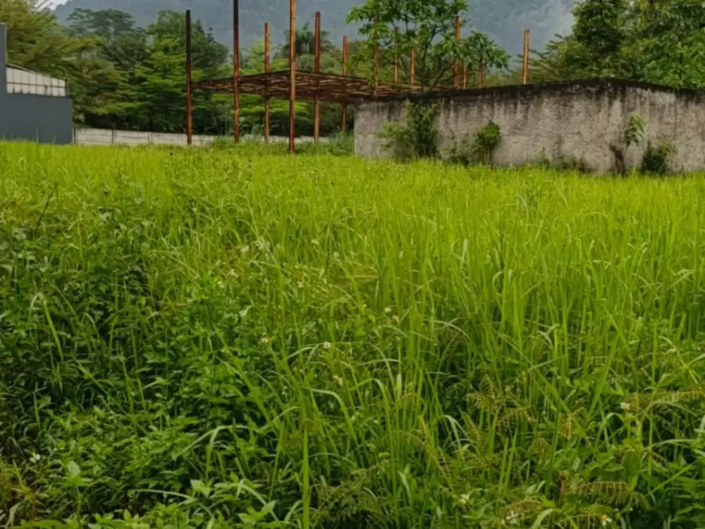 Kavling Murah View Gunung Pancar Sentul City Bogor