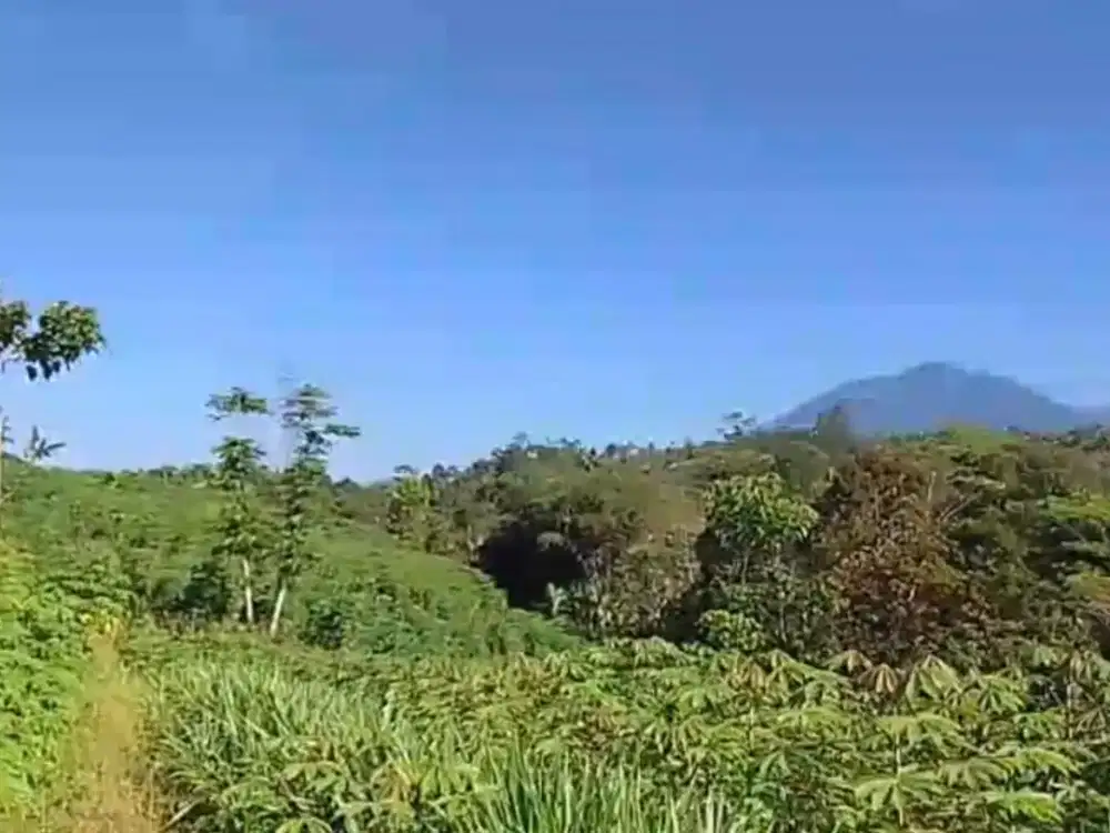 Dijual Tanah Murah dibawah Harga 100rb, Parung Kuda Sukabumi