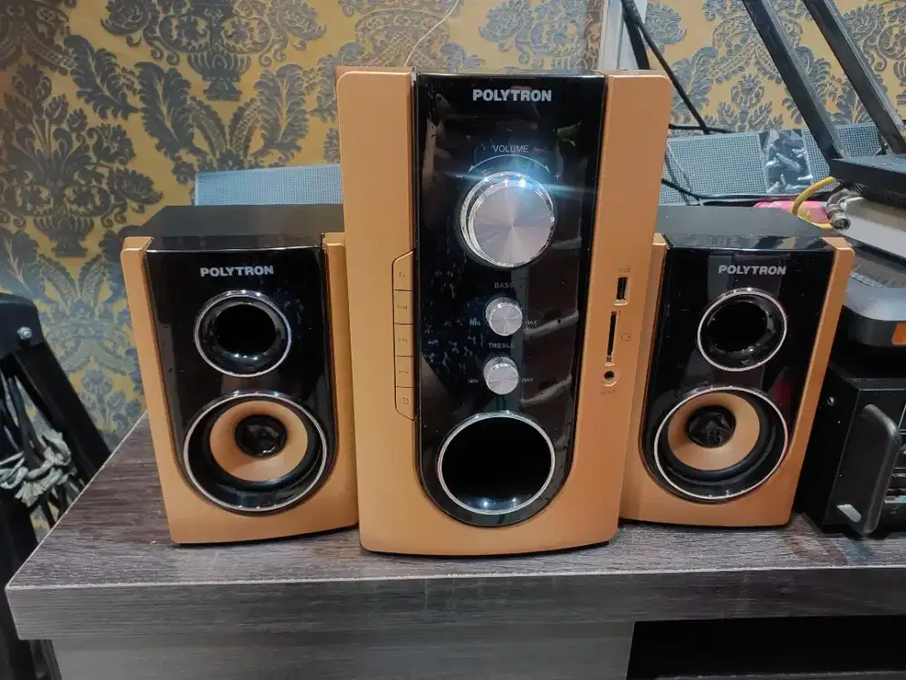 Polytron multimedia audio