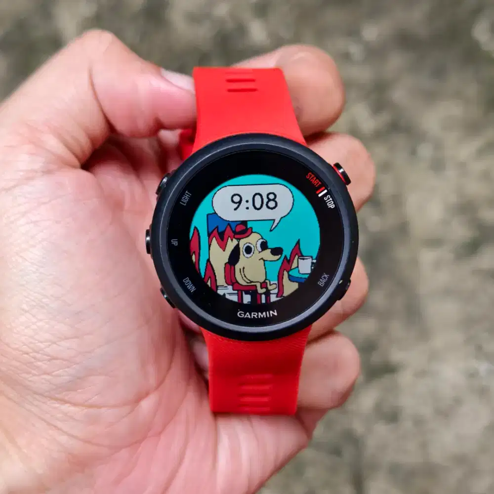 Smart watch Garmin Forunner 45