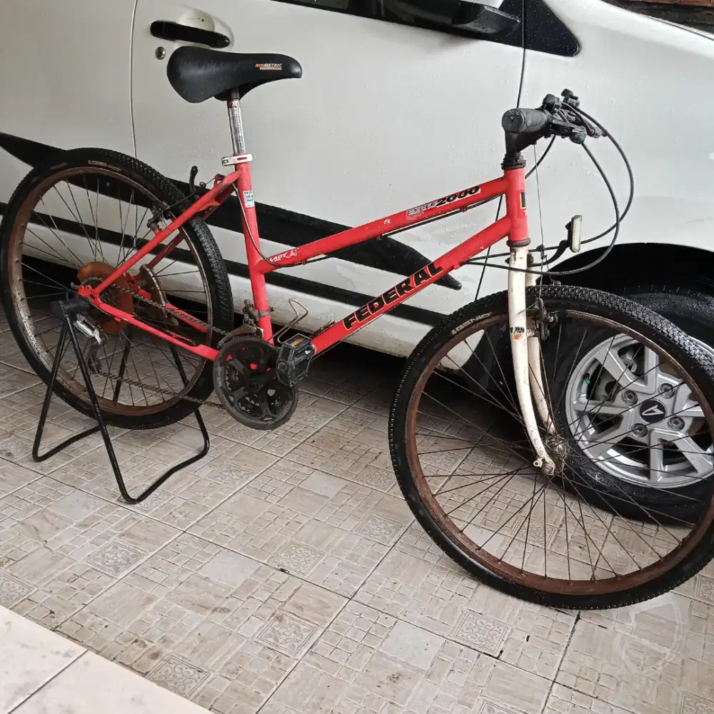 Sepeda Federal Lady Cat ML 52SS Original