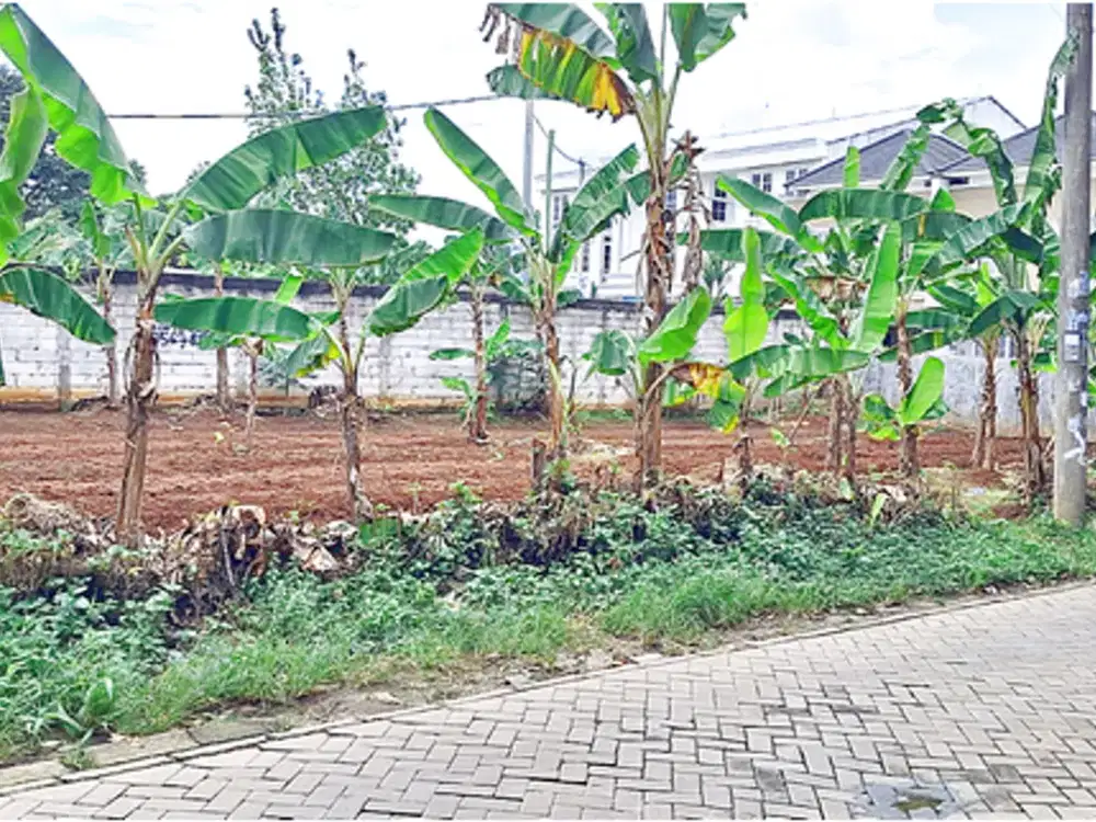 Tanah Murah Dekat Stasiun Rawa buntu, SHM Terjamin