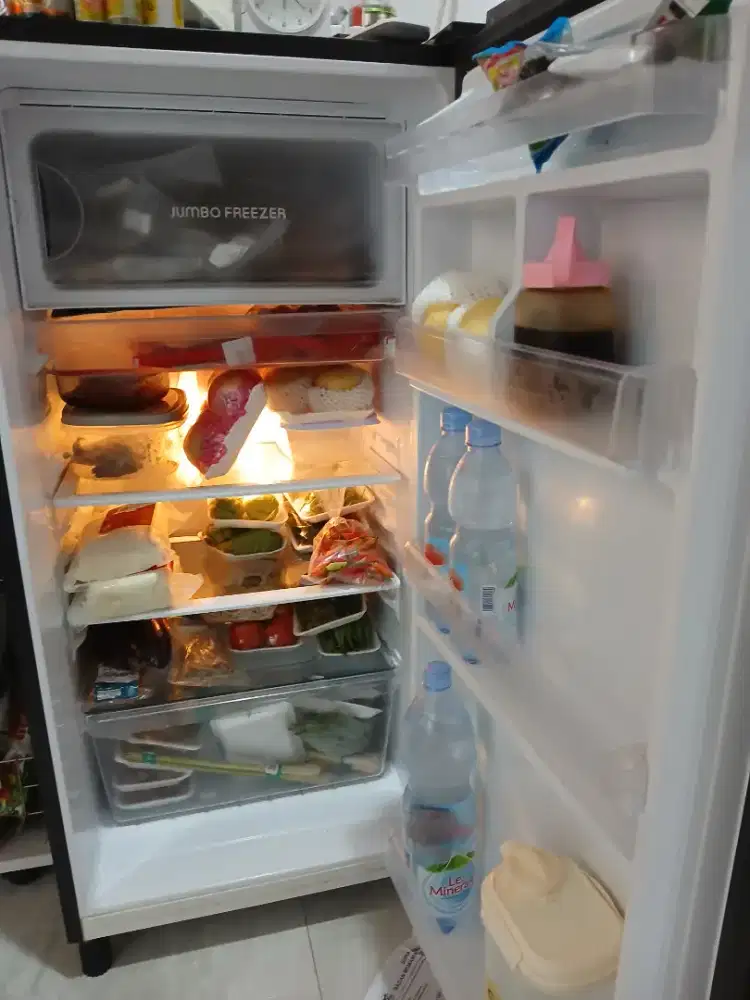 Kulkas Polytron 1 pintu autodefrost